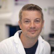 Prof. Yenan Bryceson